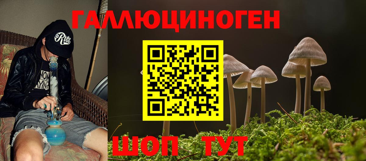 Псилоцибиновые грибы MAGIC MUSHROOMS  Вход с VPN  Протвино 